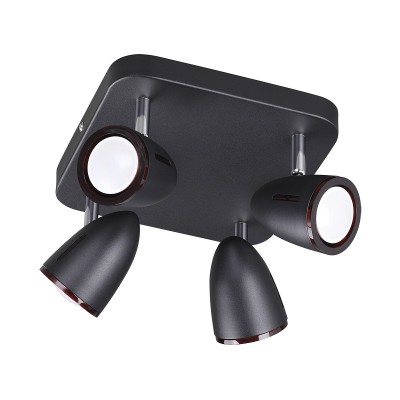 

Потолочный светильник Odeon light 3824/4C REANNA, 3824/4C
