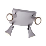 Светильник потолочный Odeon light 3825/4C REANNA