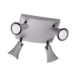 Светильник потолочный Odeon light 3825/4C REANNA