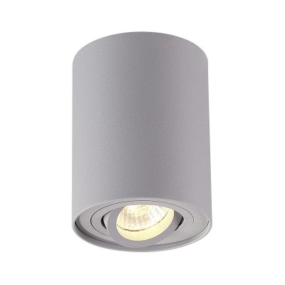 Потолочный накладной светильник Odeon light 3831/1C PILLARON
