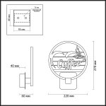 Настенный светильник Odeon light 3842/15WL WALLPIC