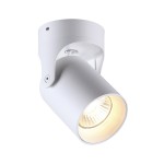Потолочный накладной светильник Odeon light 3854/1C CORSUS