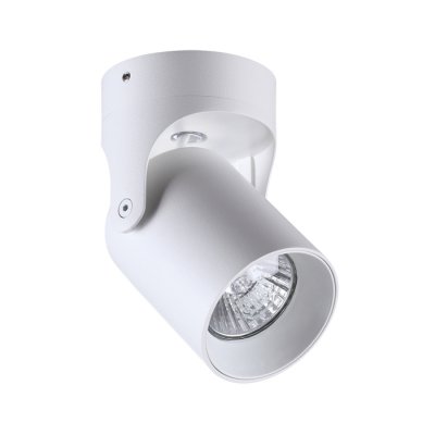 

Потолочный накладной светильник Odeon light 3854/1C CORSUS, 3854/1C