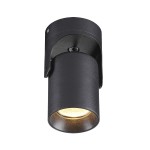 Потолочный накладной светильник Odeon light 3855/1C CORSUS