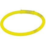 Светильник Paulmann 3860