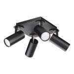 Светильник потолочный Odeon light 3872/4C KIKO