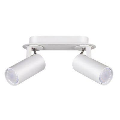 

Потолочный светильник Odeon light 3873/2C CORSE, 3873/2C