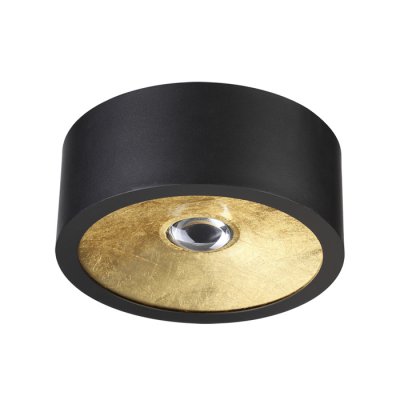 

Потолочный накладной светильник Odeon light 3878/1CL GLASGOW, 3878/1CL
