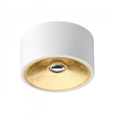 Светильник потолочный Odeon light 3892/1C GLASGOW Светильник потолочный Odeon light 3892/1C GLASGOW