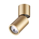 Настенно - потолочный светильник Odeon light 3895/1C DUETTA