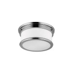 Потолочный светильник для ванных комнат Natural concept FE/PAYNE/F BATH PAYNE