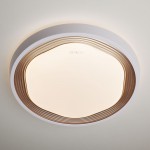 Светодиодный потолочный светильник с пду 54Вт Eurosvet 40005/1 LED кофе