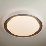 Светодиодный потолочный светильник с пду 40006/1 LED кофе