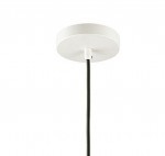 Подвесной светильник Odeon light 4010/1 PAOLO