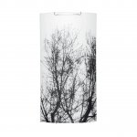 Настенный светильник Spot Light Nature 4020304M