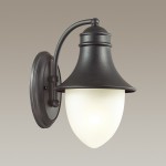 Уличный настенный светильник Odeon light 4041/1W HOUSE