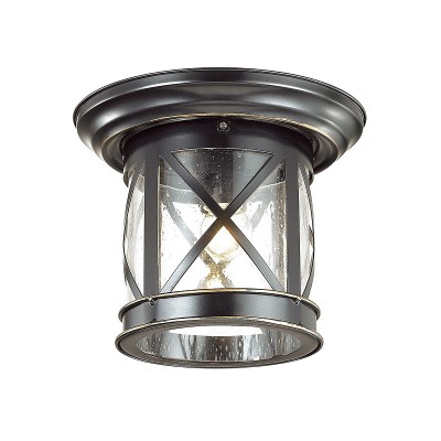 

Уличный потолочный светильник Odeon light 4045/1C SATION, 4045/1C