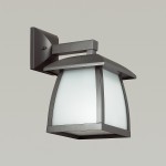 Уличный настенный светильник Odeon light 4049/1W TAKO