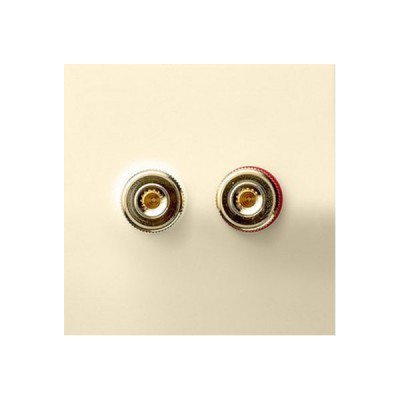 Gira F100 Крем глянц Аудиорозетка разъём WBT (+/-) с накладкой прямая (G407111)