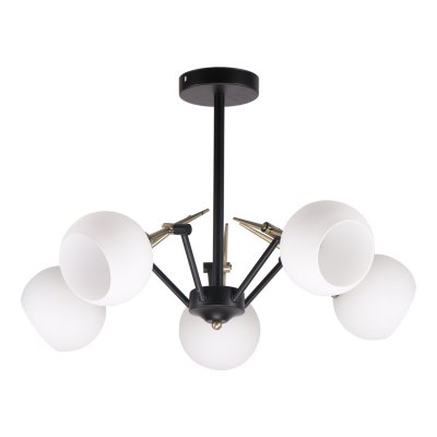 Потолочный светильник Экономсвет 41061/5BK+AB WT