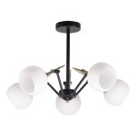 Потолочный светильник Экономсвет 41061/5BK+AB WT