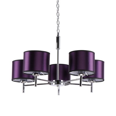 Потолочный светильник 41083/5CR PUR Экономсвет