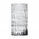 Настенный светодиодный светильник Spot Light Nature 4130304M