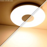 Светильник настенно-потолочный Globo 41327 FELION