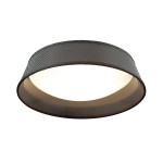 Светильник потолочный Odeon light 4158/3C SAPIA