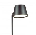 Настенный светильник - полка с подсветкой / USB Odeon light 4163/6WL SVEN