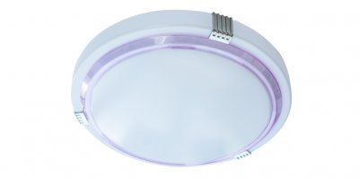 Светильник потолочный Artpole LED C5 (арт. 4211)