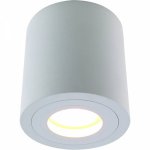 Спот Spot Alumo Cylindro White Loft Concept 42.145