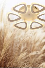 Светильник потолочный Mw light 424013006 Мадлен