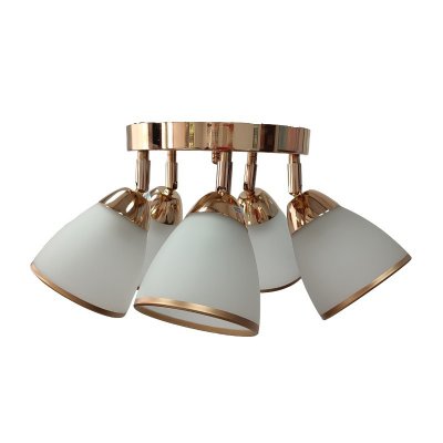 Экономсвет 4268/5FGD WT