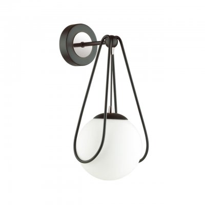 Настенный светильник Odeon light 4269/1W CAROL