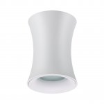 Потолочный накладной светильник Odeon light 4271/1C Zetta