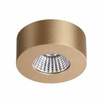 Потолочный светильник Odeon light 4284/7CL BENE