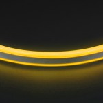 Лента цветного свечения Lightstar 430106 Neoled