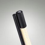 Напольный светильник Odeon Light 4398/15FL CORDA