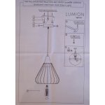 Подвесной светильник Lumion 4450/1 DAMI