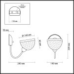 Светильник настенный бра Lumion 4461/1W ALORA