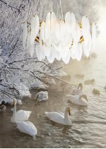 Светильник потолочный Mw light 447012206 Патриция