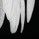 Светильник потолочный Mw light 447012206 Патриция