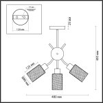 Люстра потолочная Lumion 4492/3C FERN