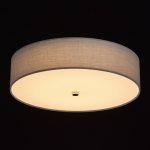 Mw light 453011401 Светильник