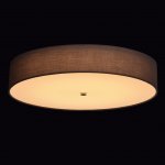 Mw light 453011601 Светильник