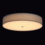 Mw light 453011701 Светильник