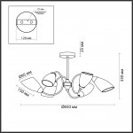 Люстра потолочная Lumion 4532/6C DARLENE