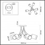 Люстра потолочная Lumion 4533/6C PAULA