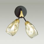 Светильник настенный бра Lumion 4563/2W FAWN